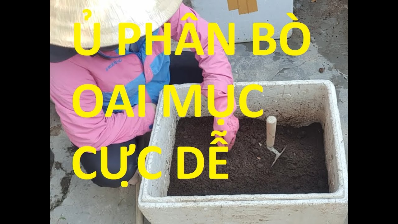 Cải Ơi's Farm Channel#CÁCH Ủ PHÂN BÒ CỰC DỄ VÀ  CHẤT LƯỢNG