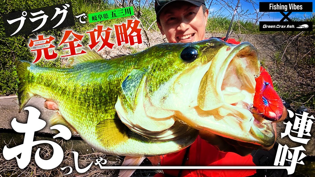 【バス釣り】赤松健「おっしゃーー！」連呼！プラグで五三川を完全攻略【Fishing Vibes】