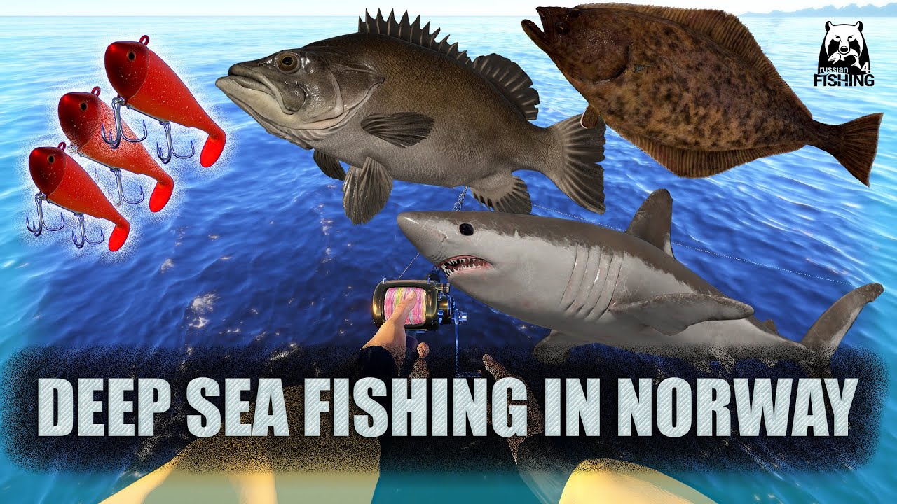 DEEP SEA FISHING IN NORWAY | Russian Fishing 4 RF4