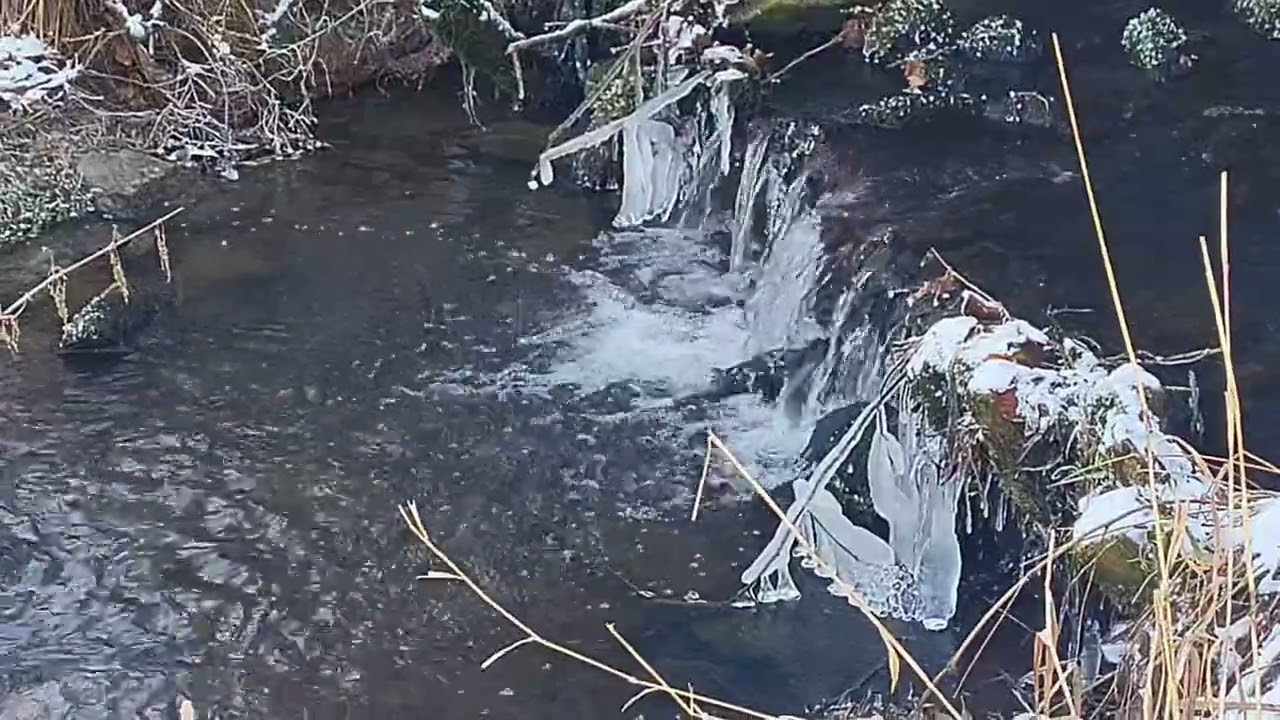 Winter Wonderland  - Bielefeld, von Teich zu Teich,  Musik: musicfox.de:  ' technical innovation'