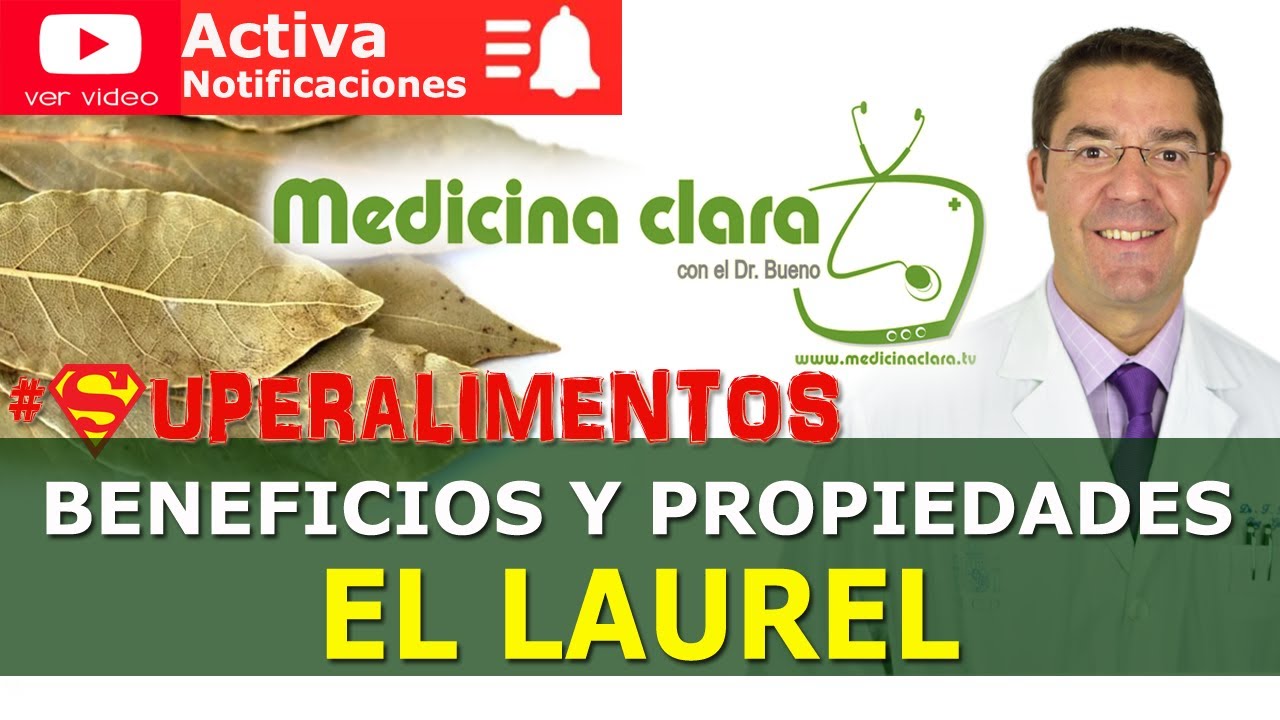 Laurel, beneficios y propiedades. ¿por qué se dice dormise en los laureles ? | Medicina Clara