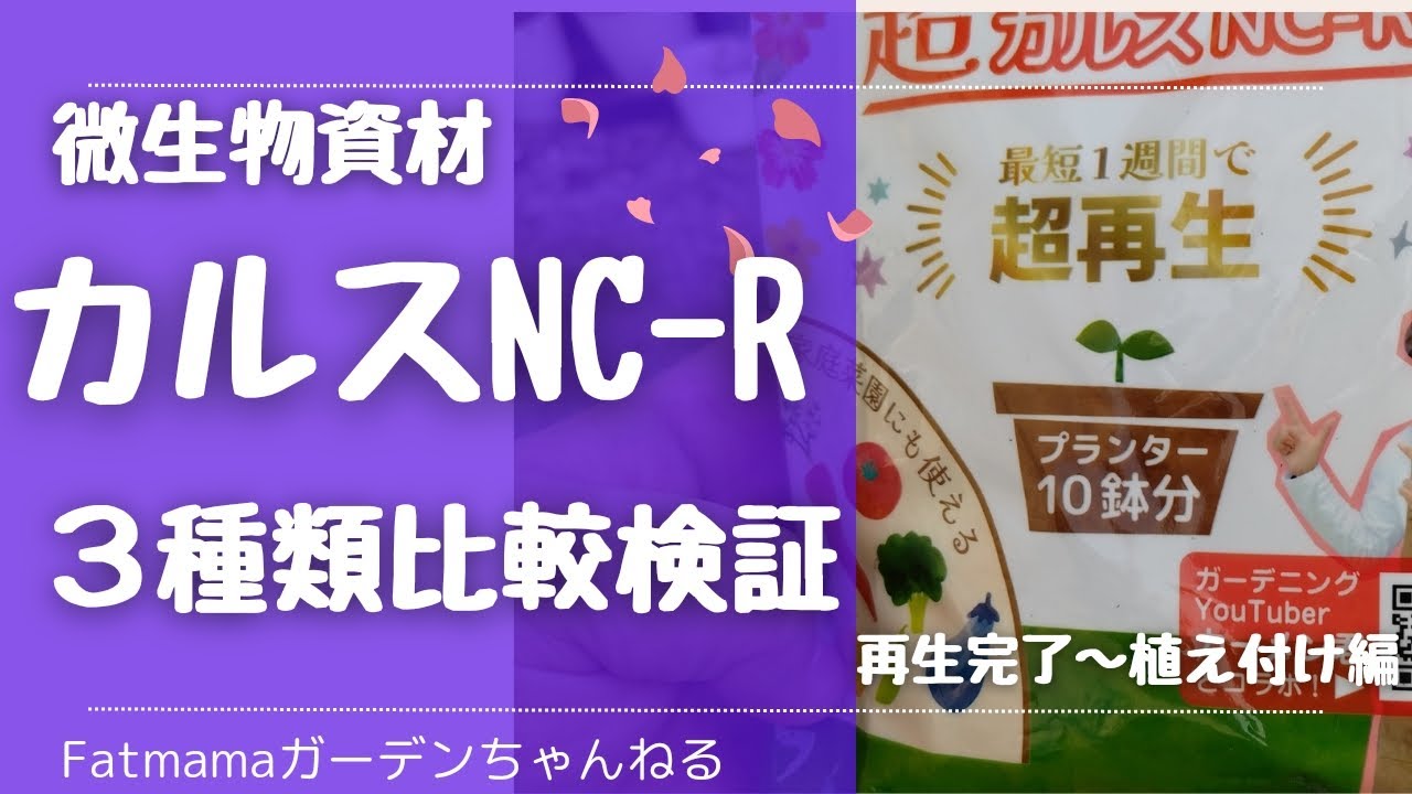 土の再生はできたのか？微生物資材『カルスNC-R』３種類比較検証（再生完了〜植え付け編）