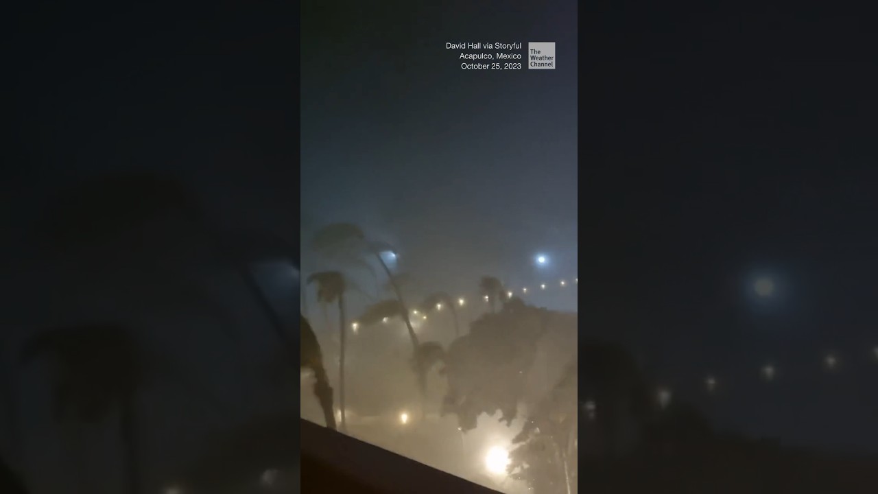 Category 5 Hurricane Otis blows trees around in Acapulco, Mexico
