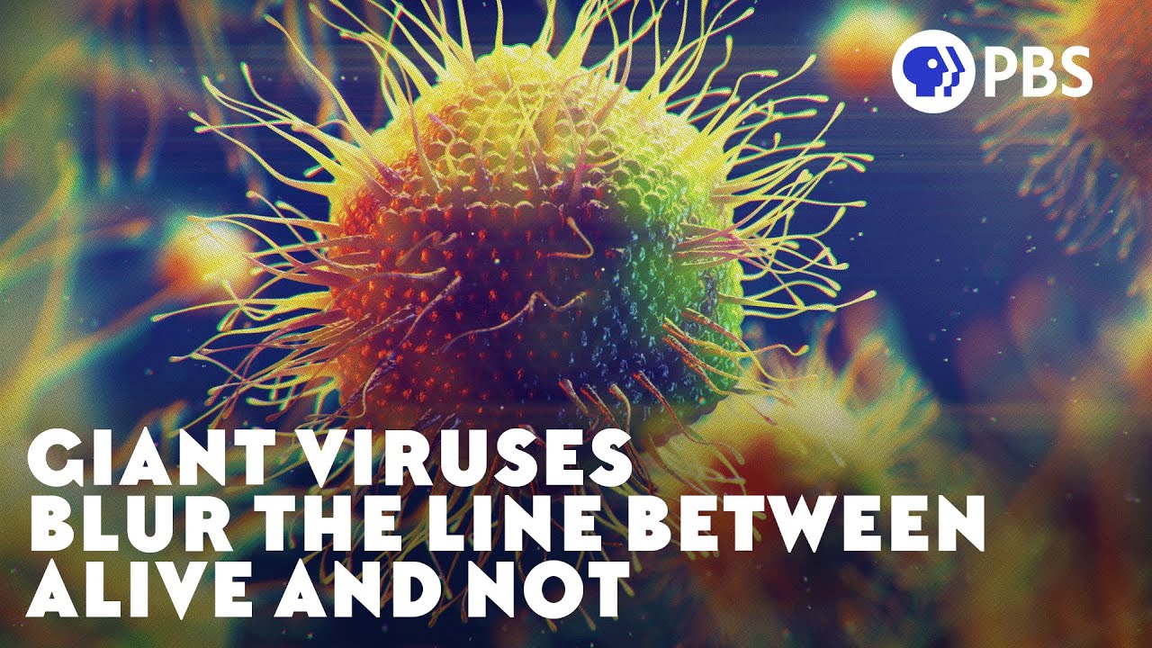 Giant Viruses Blur The Line Between Alive and Not