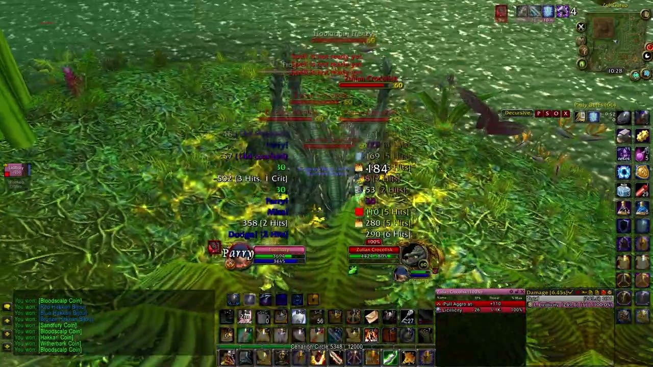 Turtle WoW - Prot Pally solo zg croc packs