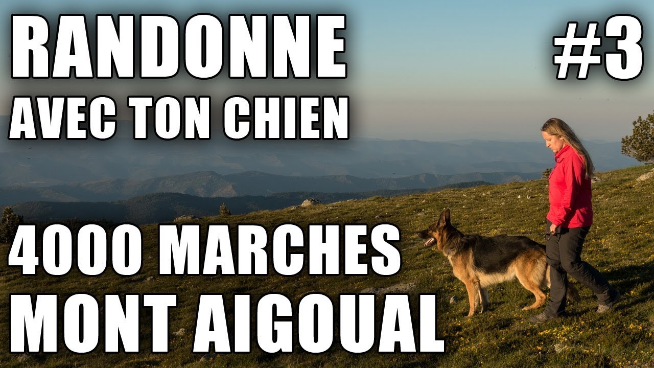 RANDONNÉE CÉVENNES : LES 4000 MARCHES JUSQU'AU MONT AIGOUAL