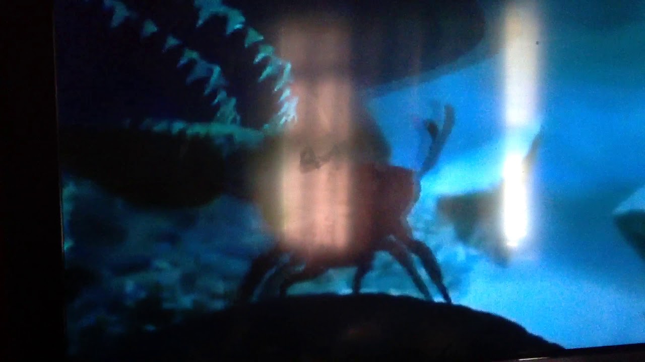 Help I m a fish Great white shark vs Joe pilot fish