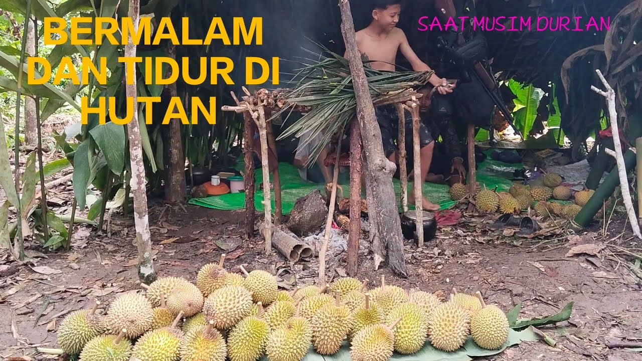 Bermalam di Hutan Mencari Durian Bersama Bocil