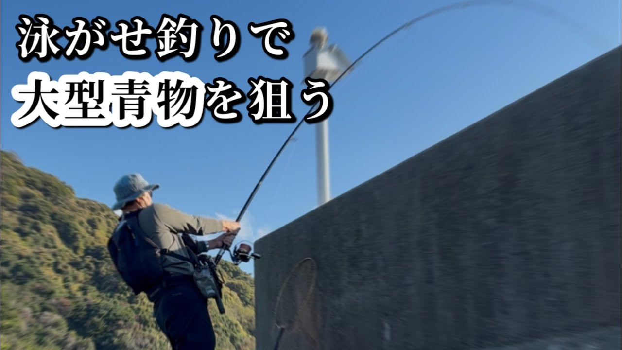 瀬戸内海の堤防で泳がせ釣りで大型青物を狙う 2025年12月
