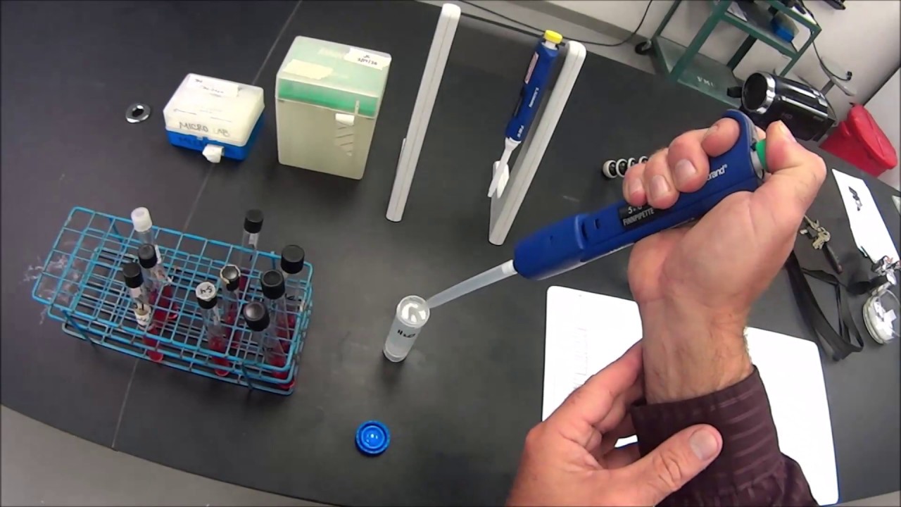 BIOL215L Lab 9 Fecal Coliforms