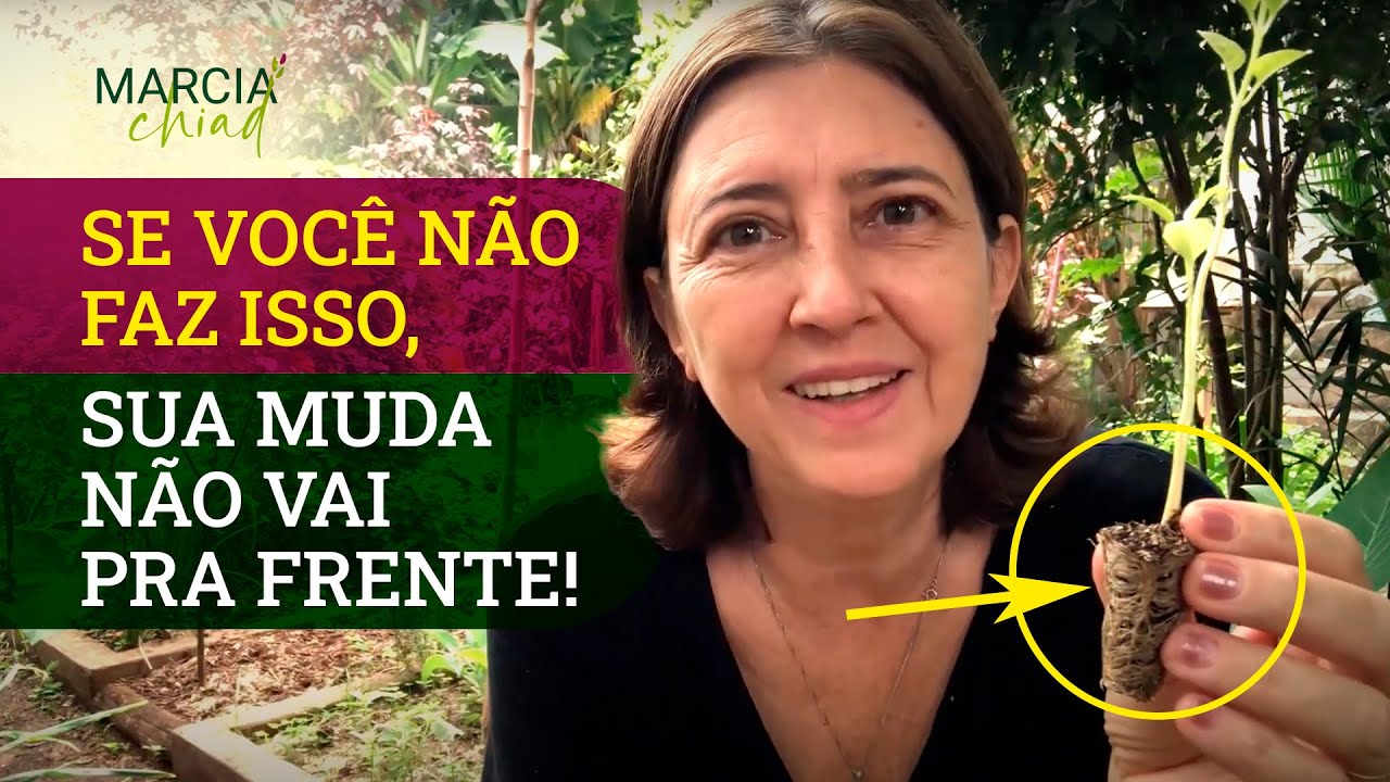 COMO TER PLANTAS SEMPRE SAUD&Aacute;VEIS - Horta em Casa | Marcia Chiad