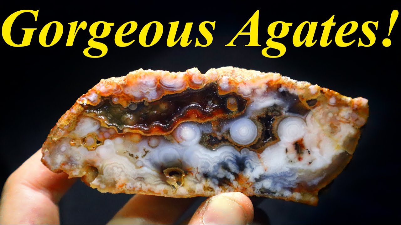 The Agate from Montana You've Never Heard of! Cutting Amazing Agates, Moss Agates, & Thundereggs!