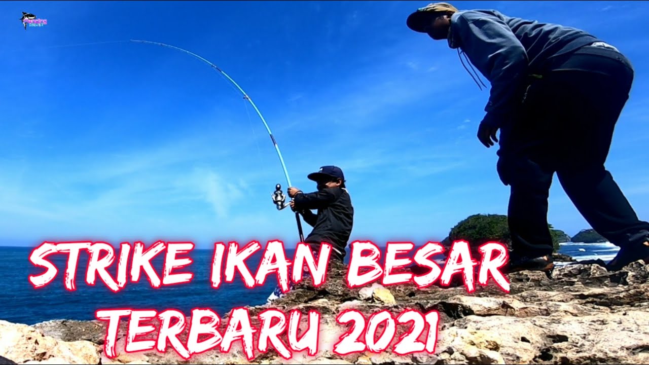 Strike ikan besar terbaru 2021 - mancingmania dari tebing keren bos