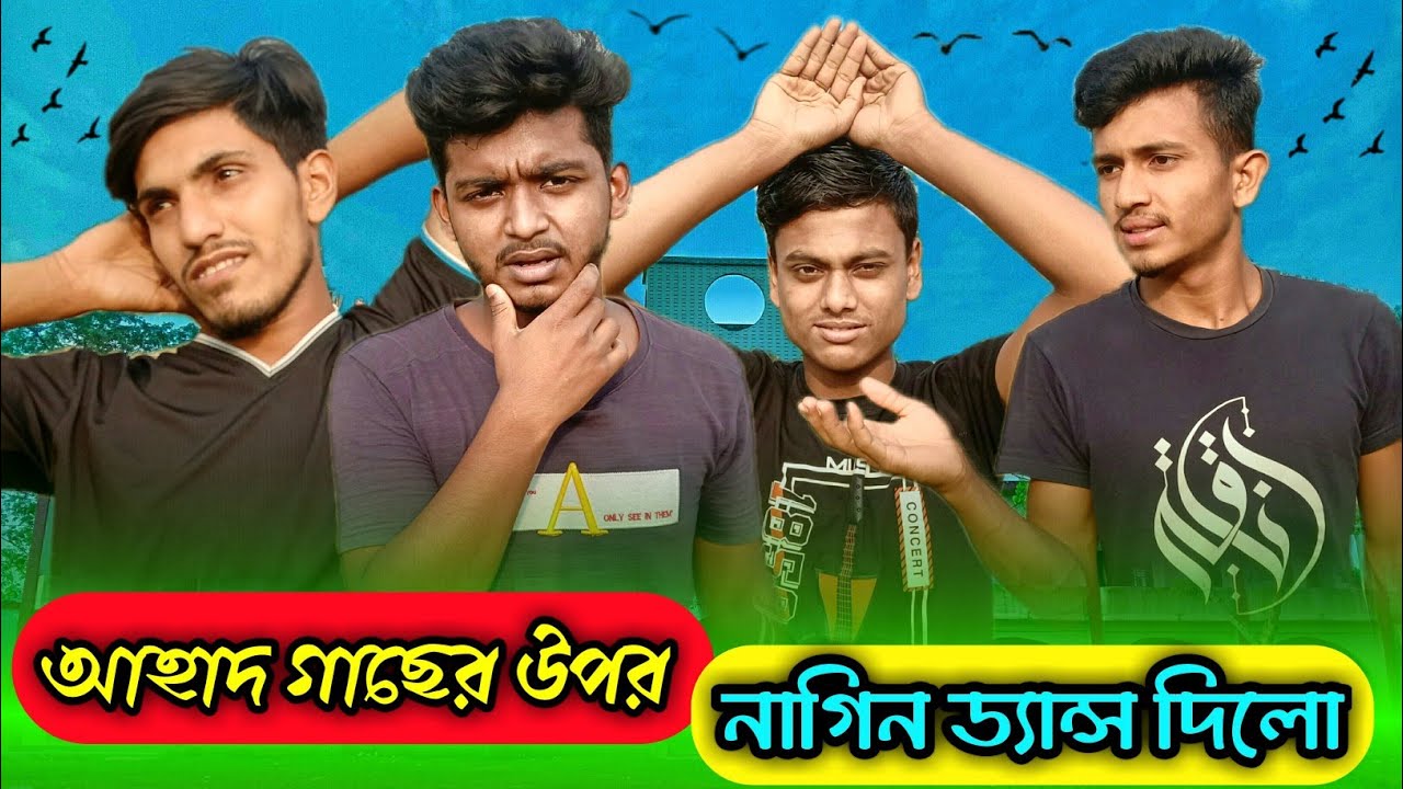আহাদ গাছের উপর নাগিনী ডান্স দিলো। New vlog। Ismail zehen