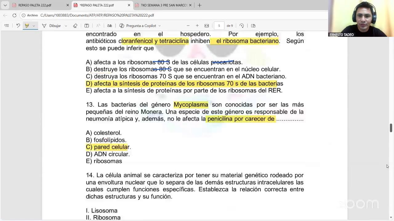 REPASO MI MITOCONDRIA 2