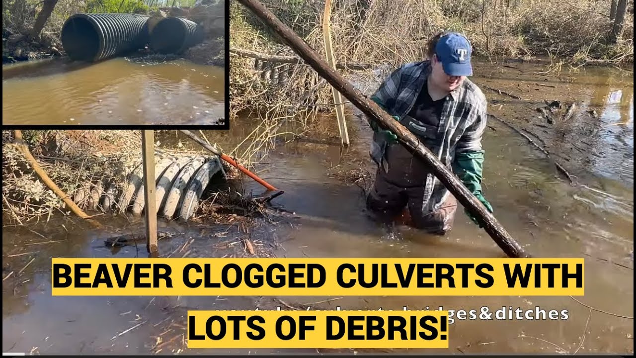 UNCLOGGING CULVERTS IN ARKANSAS! 04/2025