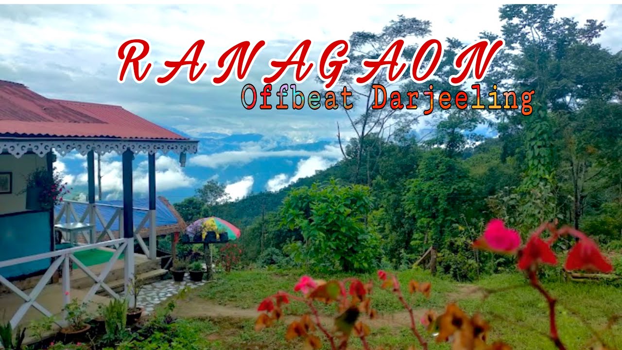 Unseen Unexplored Offbeat Daestination || Luxurious Stay at Lower Lamahatta || Northbengal episode 4