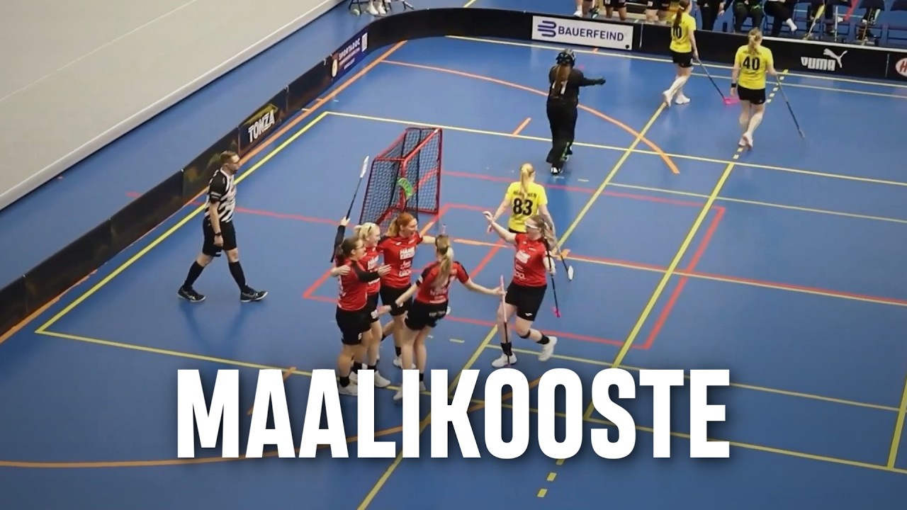 Maalikooste: Häme Stars - SBS Wirmo (Inssi-Divari N)