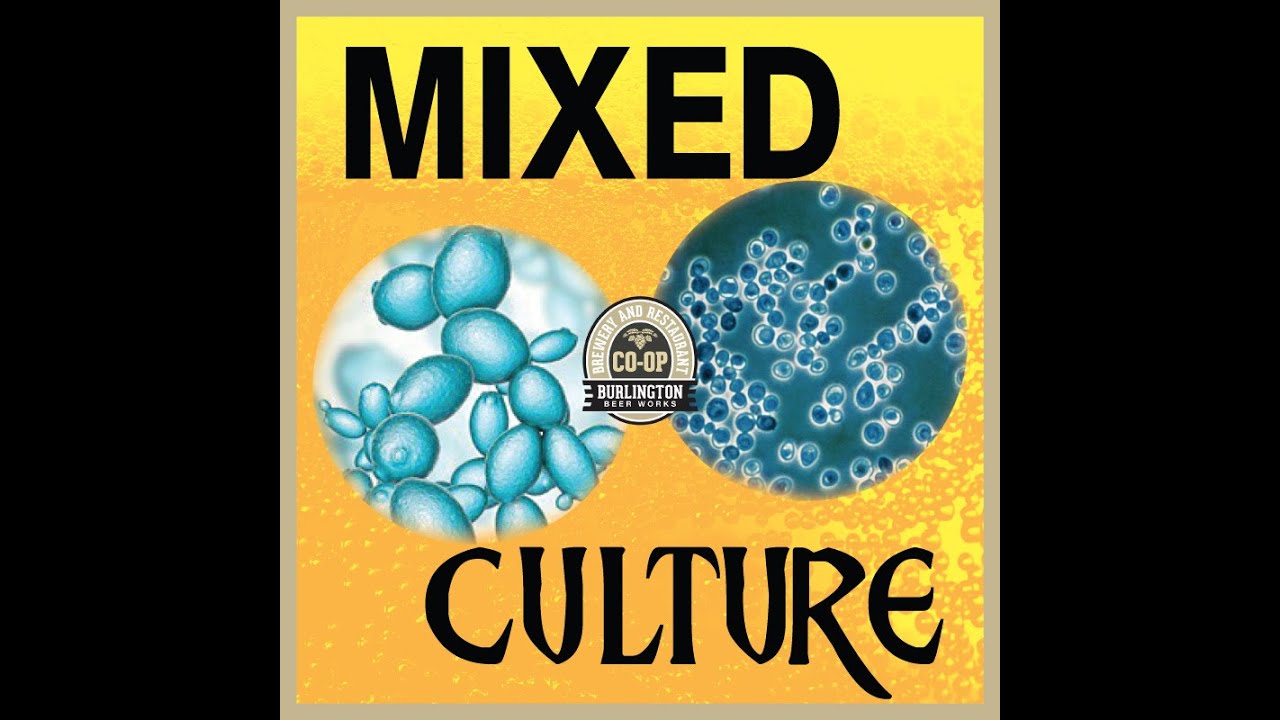 Burlington Beer Works Mixed Culture Farmhouse Ale