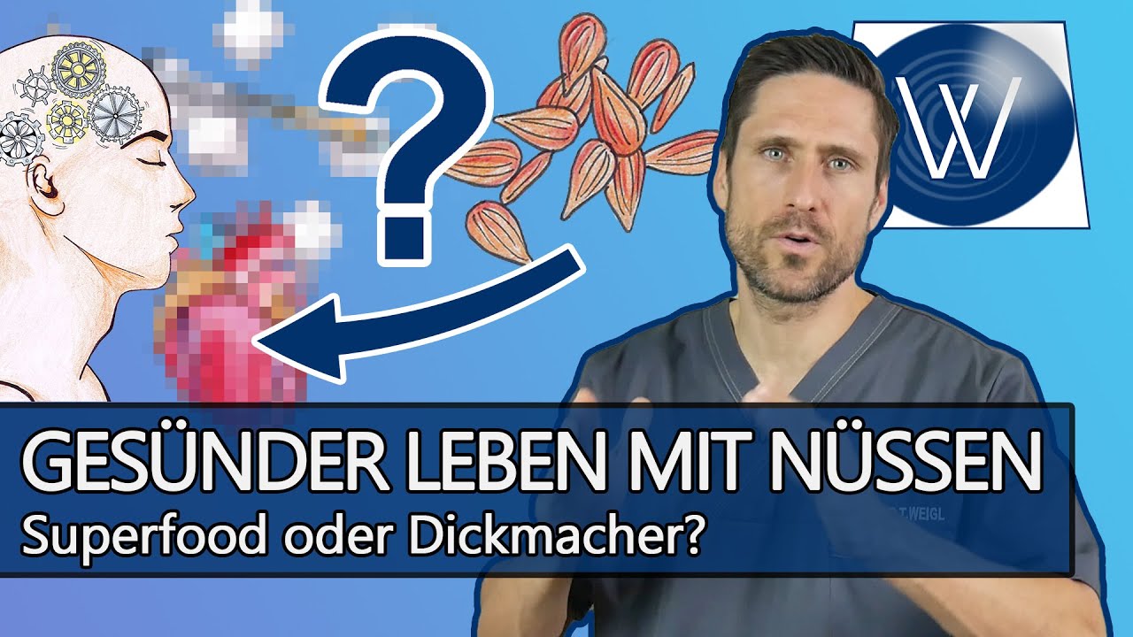 Wie gesund sind Nüsse: Hype oder Hope? So können Sie Ihren Bedarf an Omega 3 & Ballaststoffen decken