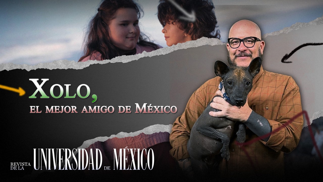 Xolo, el mejor amigo de México | Revista de la Universidad de México