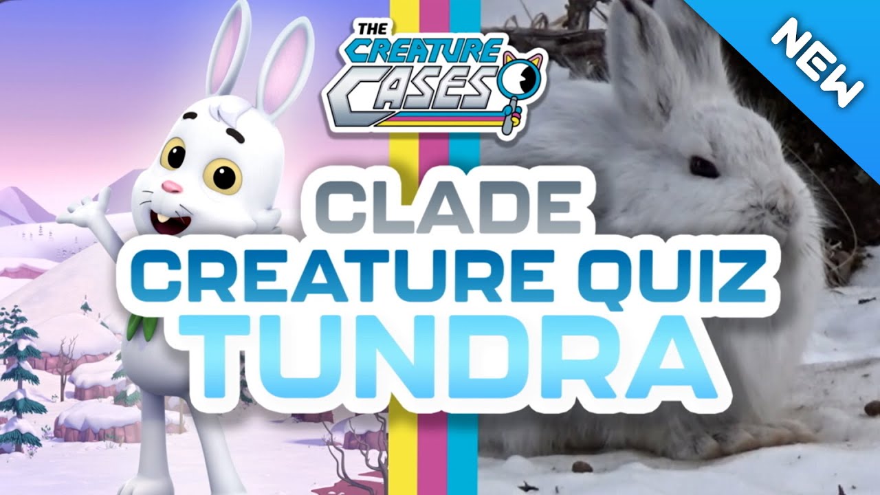The Creature Cases - 🦣 Join Us for Another Exciting Creature Quiz 🏆 | ❄️ Tundra Animals