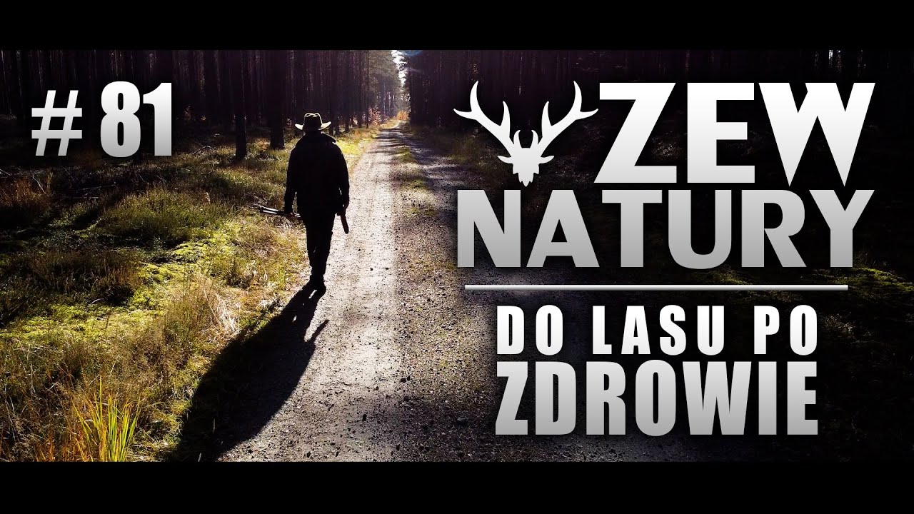 Zew Natury #81 - Do lasu po zdrowie