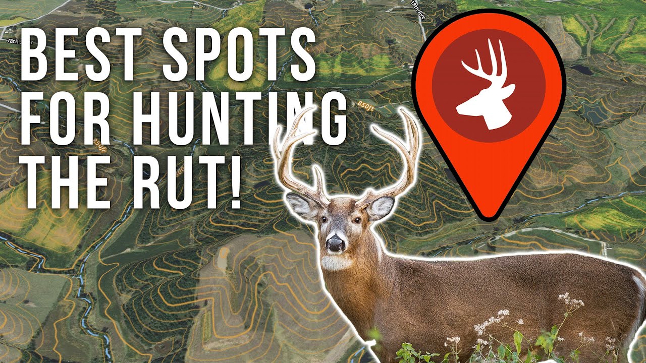 Identify RUT FUNNELS for Big Cruising Bucks In November!
