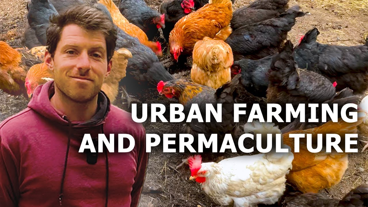 How Farming is Done in European Cities 🇪🇺