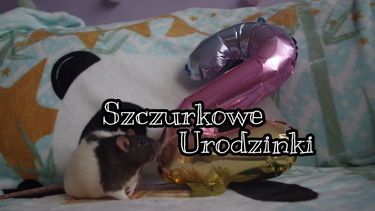 Urodziny Dexi i.... :) (54)