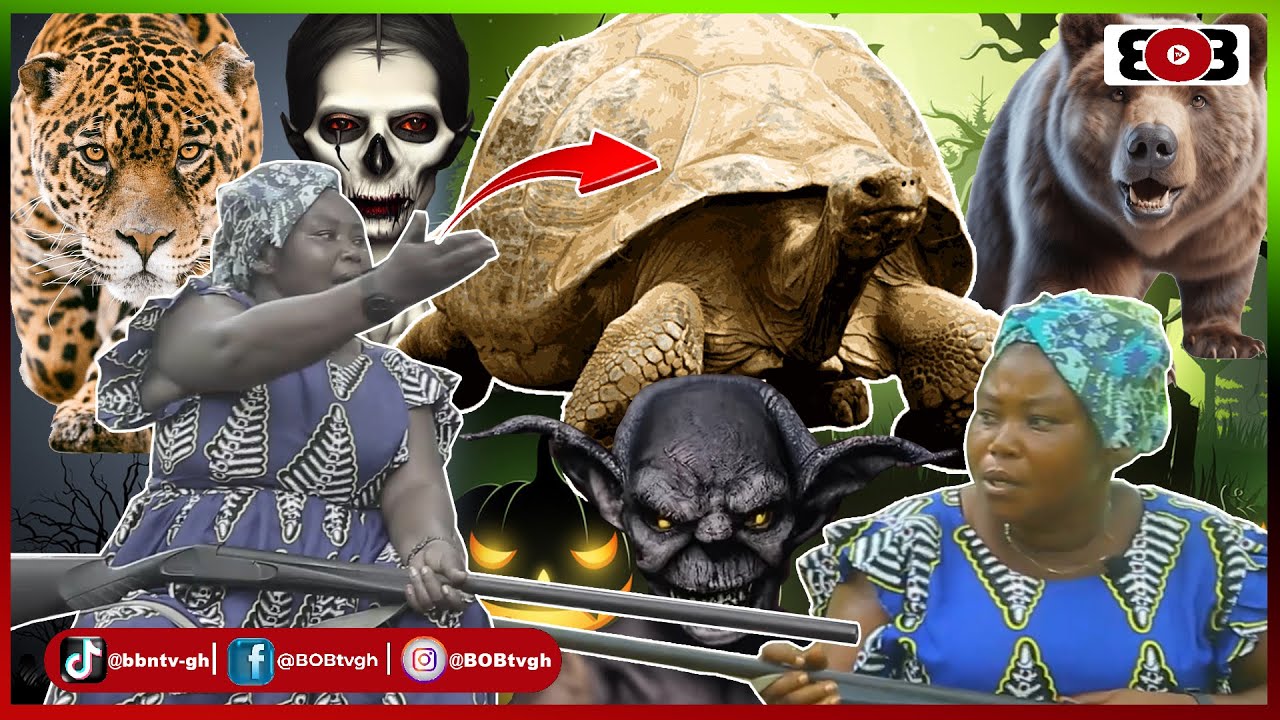 😱My encounter with a biiig tortise: A 46yr old Huntress narrates scäry mysteries in night hunting.