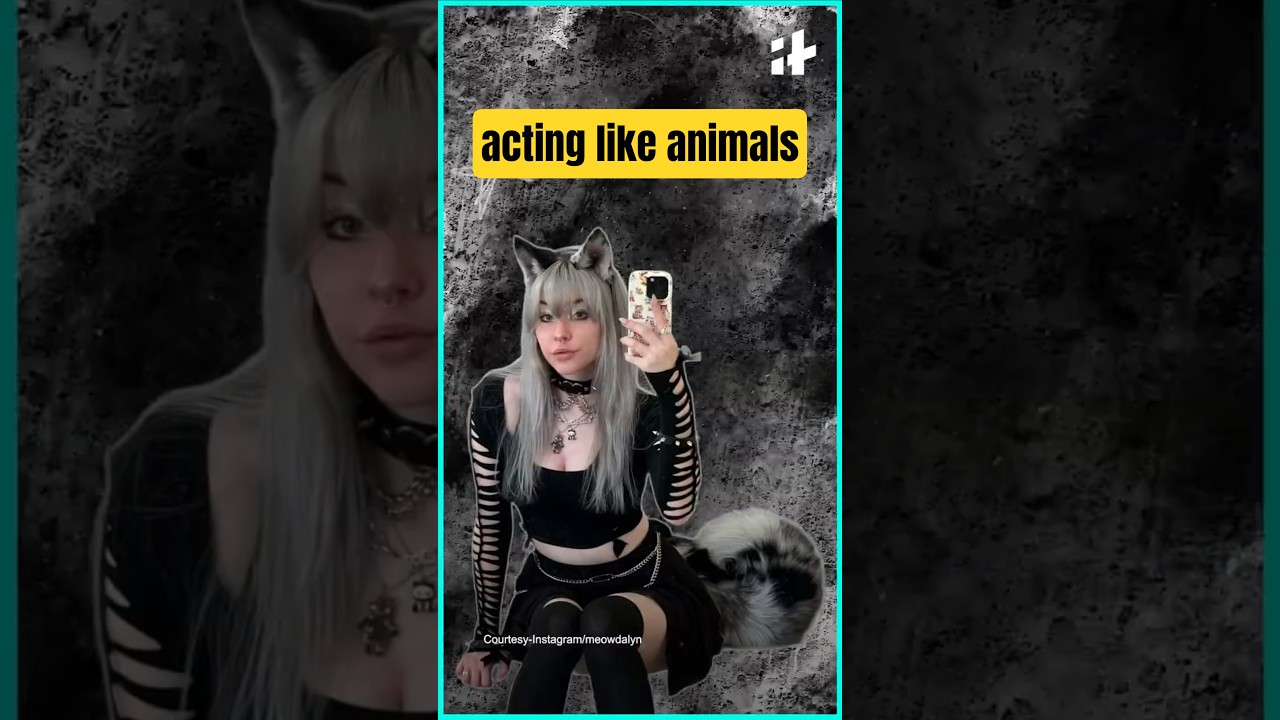 why is your fyp showing people acting like pets? | #culturecordcutter #shorts