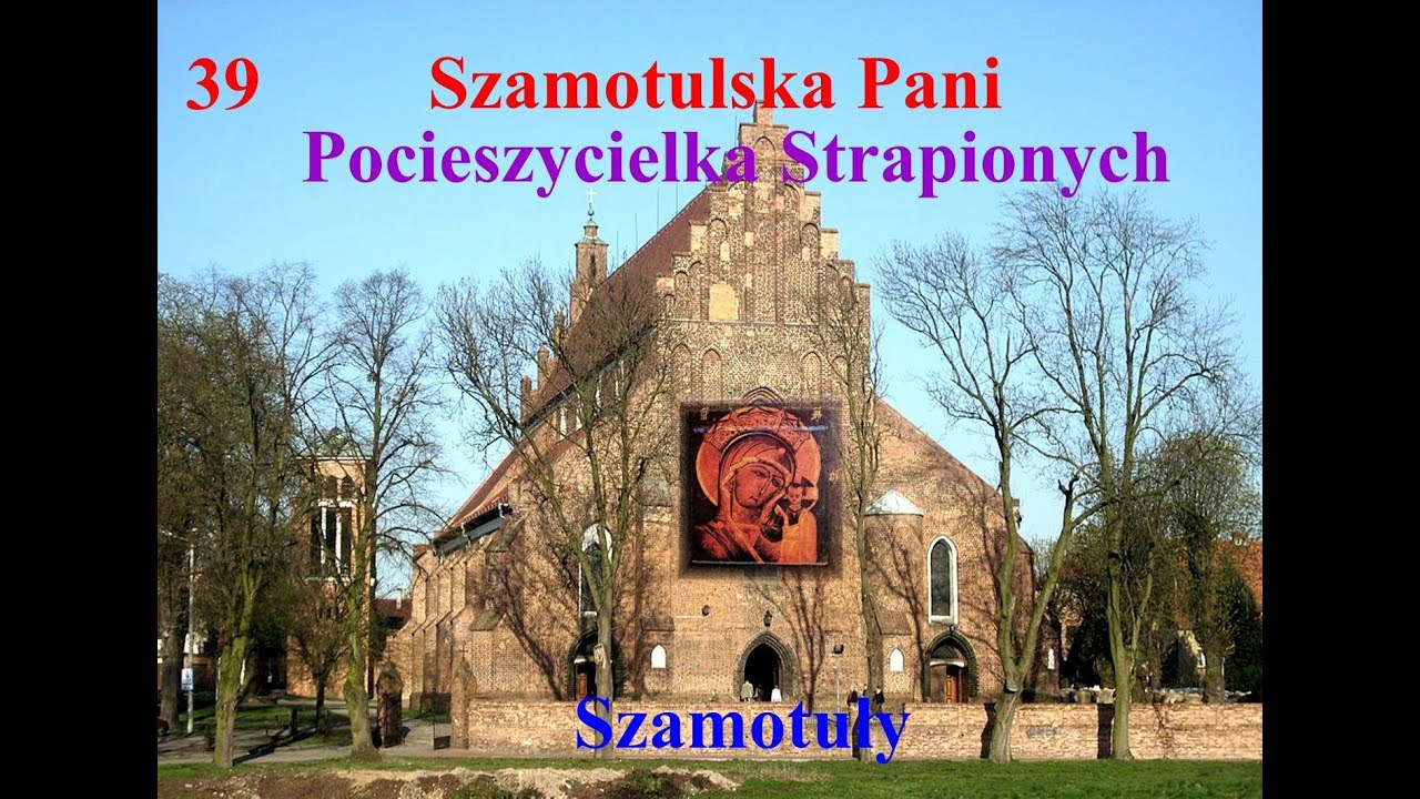 Szamotuły