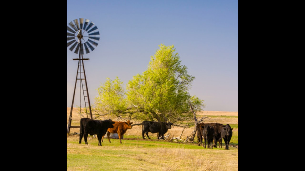 Succinct Science | Podcast Episode 5: Impact of Landowner Decisions on the Environment and All of Us