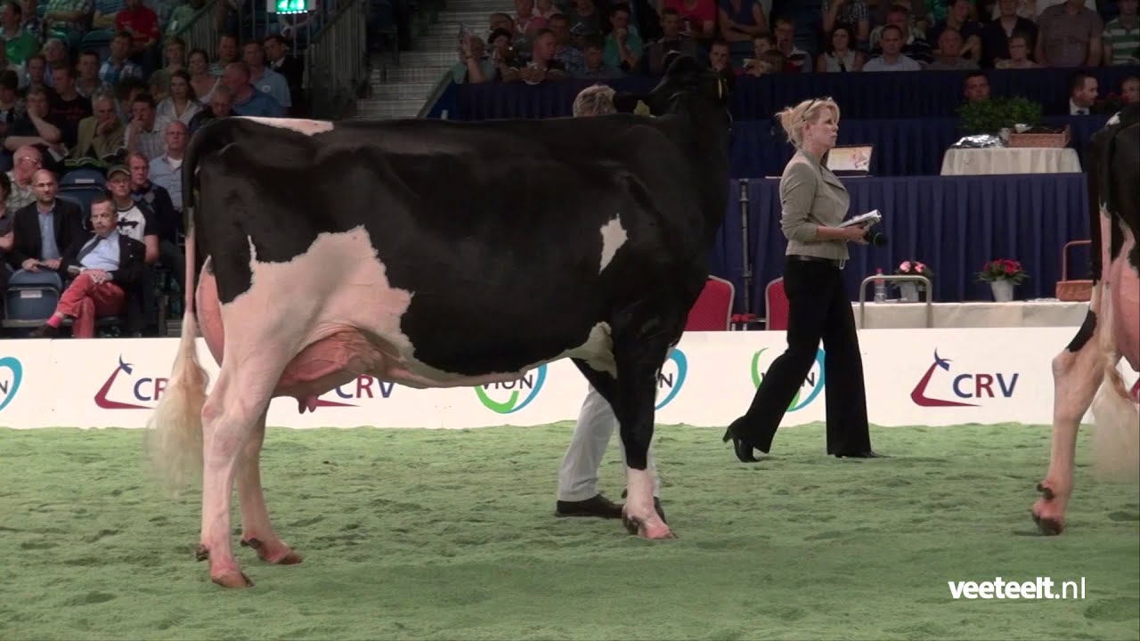 Goldwyn