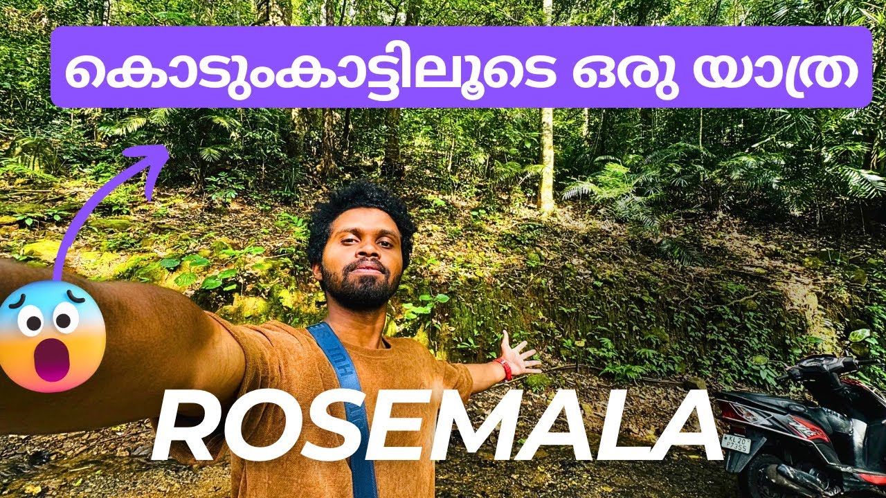 ROSEMALA | THE WAY TO FOREST 🌳 | KOLLAM,KERALA