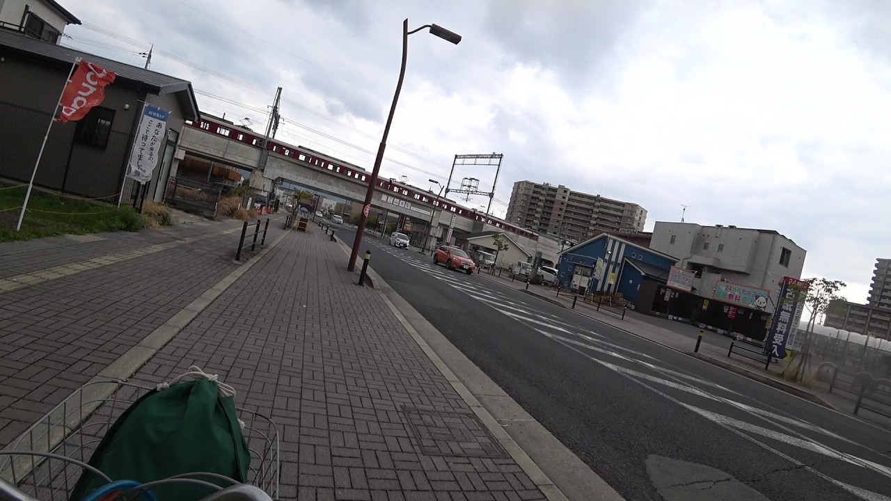 Nature Wonderland; heading for Kizugawa River to get more wild vine roots 20260319