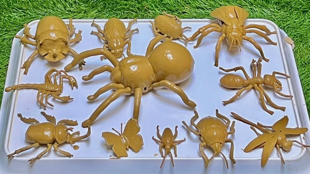 Tiny Creature Adventures: Exploring the Amazing Secret World of Insects Around