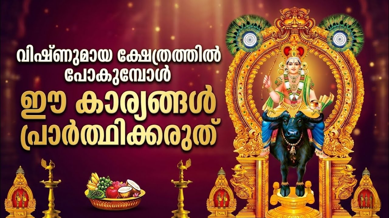 ചാത്തൻ സ്വാമിക്ക് വഴിപാടുകൾ നേരുമ്പോൾ ഈ അബദ്ധം കാട്ടിയാൽ സർവ്വനാശം! | Vishnumaya Pariharam