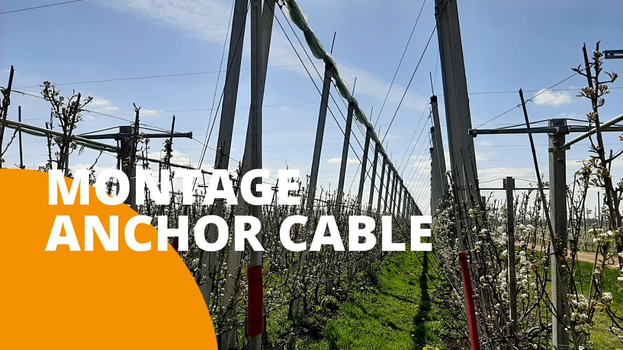 Anchor Rope Steel Cable 8mm and Wire Tensioning in practice- FRUITSECURITY HOLLAND