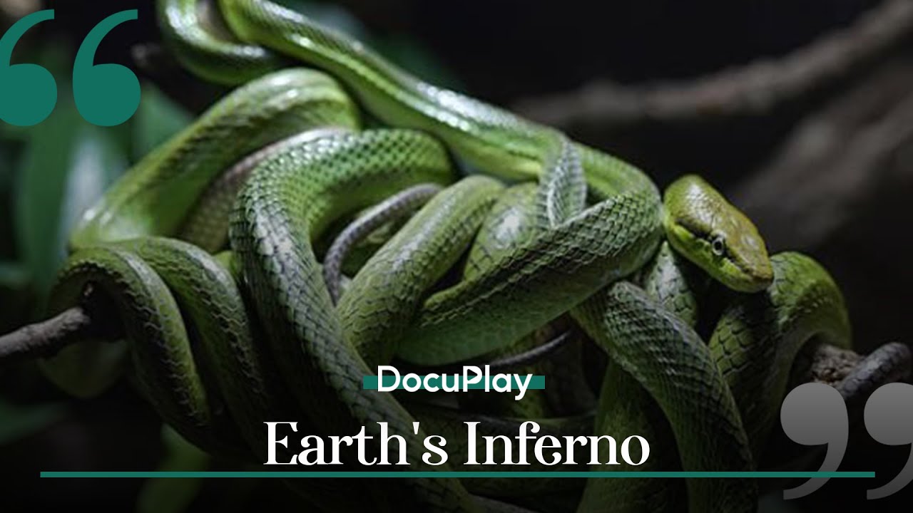 Places Where Survival is Impossible! | DocuPlay