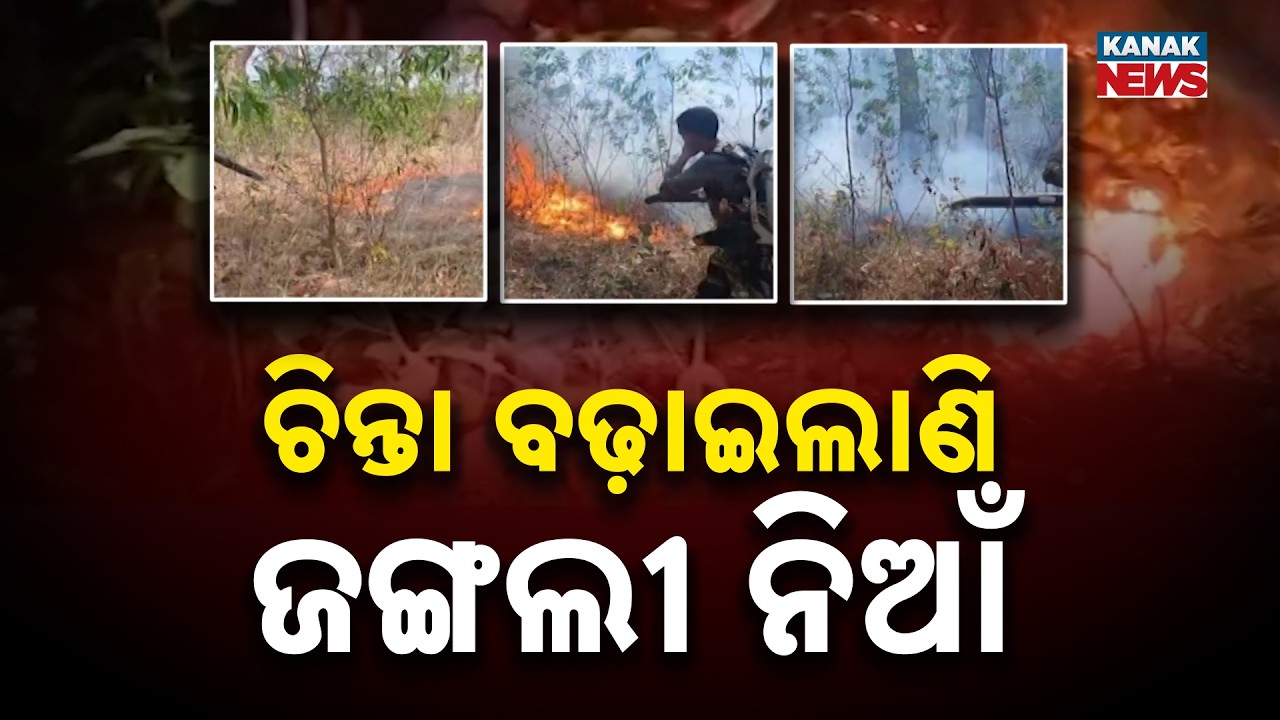 Massive Forest Fire in Keonjhar Creates Record | Forest Officials Suspended Over Negligence