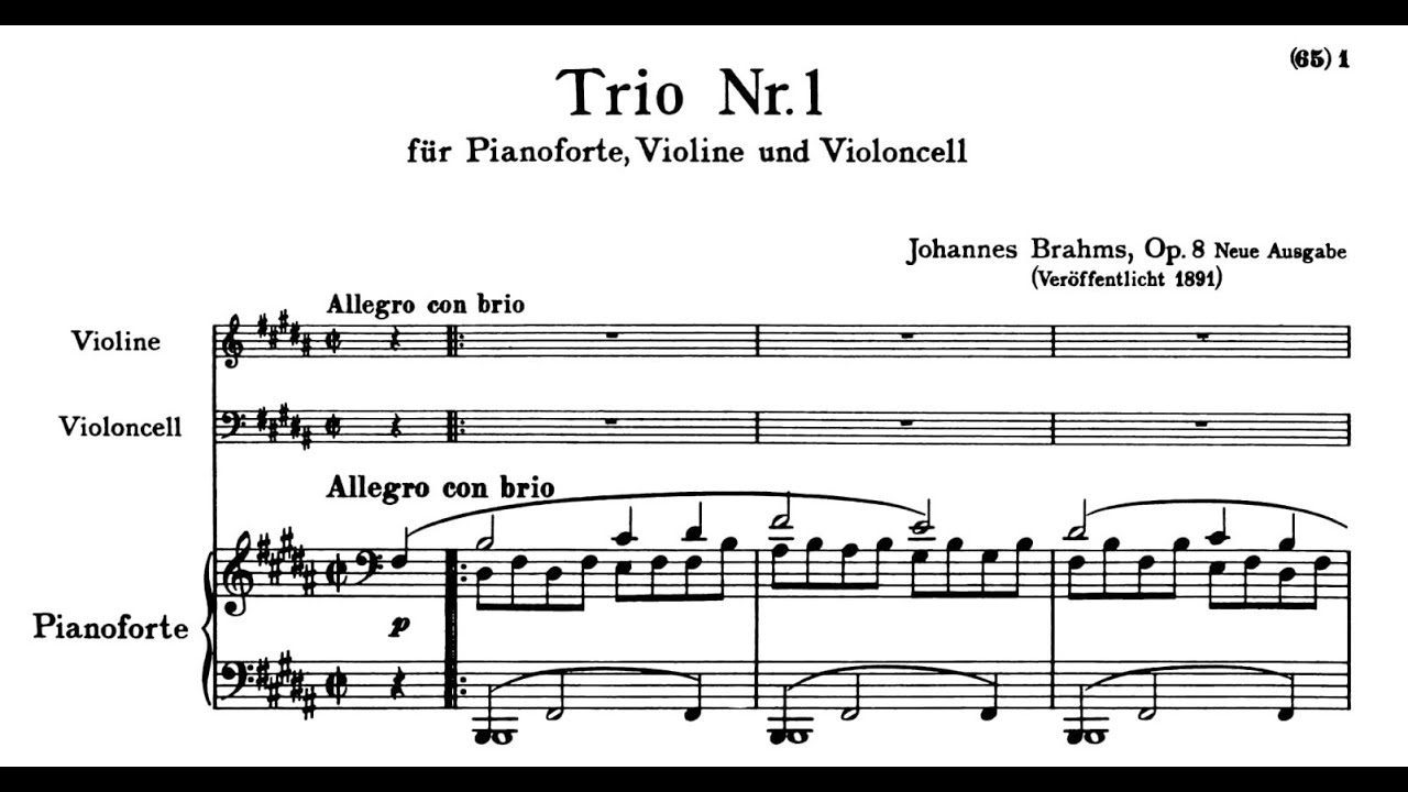 Johannes Brahms - Piano Trio No. 1 in B Major, Op. 8