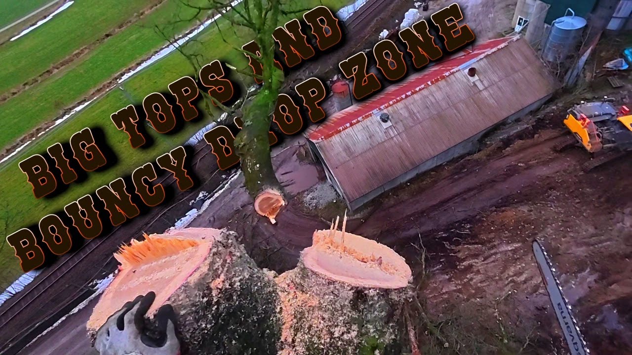 Cutting Huge Pieces Right Next To Building