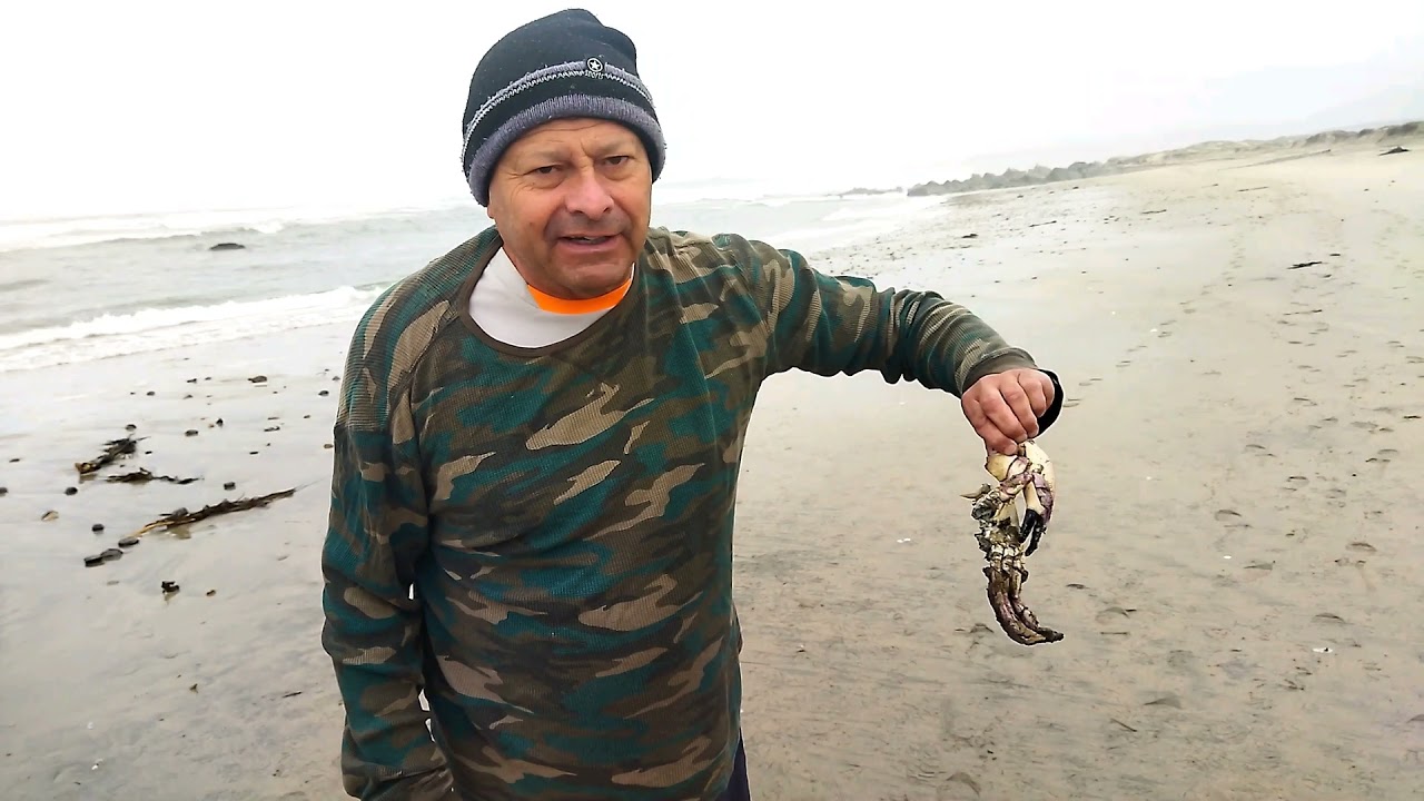 La Ballena - Chile