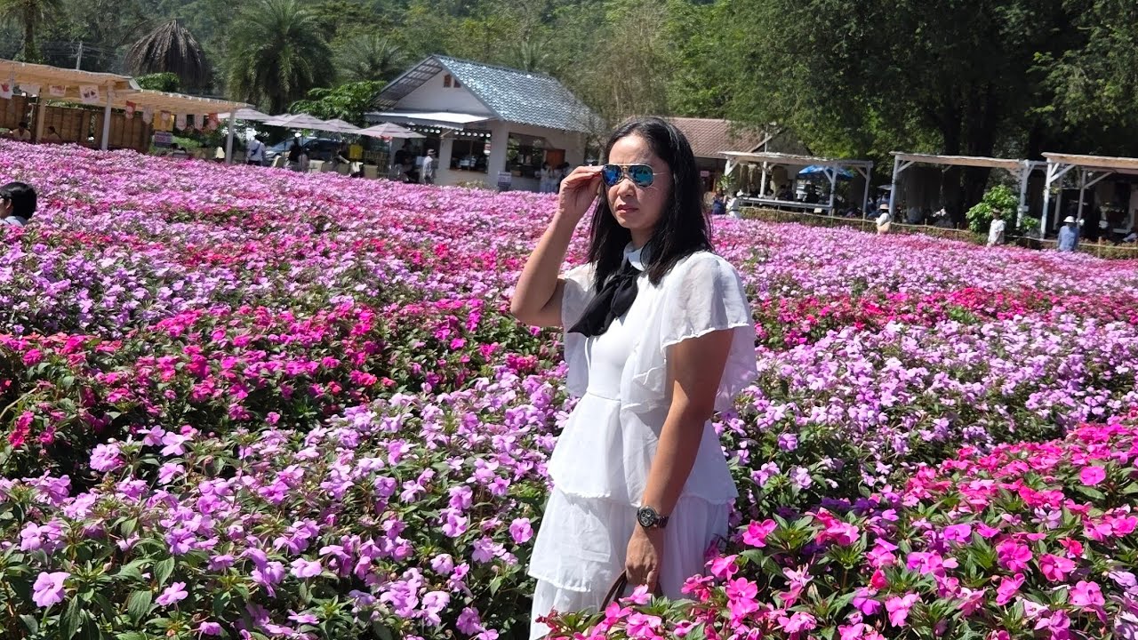 สวนดอกไม้ฮอกไกโด เขาใหญ่