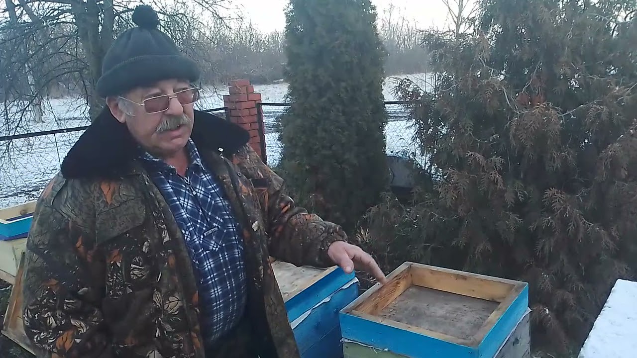 Зимовка пчёл без утепления 4 дня. Итог ответы.