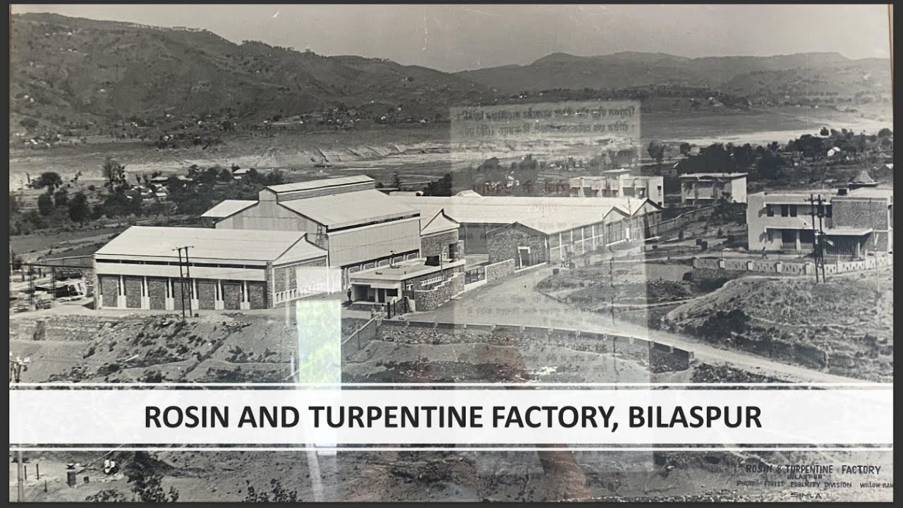 Asia's biggest Rosin and Turpentine factory in India, Bilaspur (H.P)