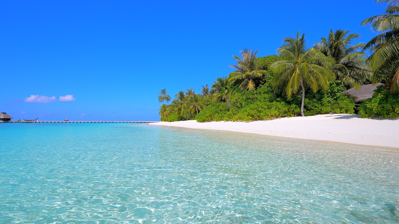 Fall Asleep In 5 Minutes With Ocean Sounds. Ocean Waves on a Tropical Island in Maldives