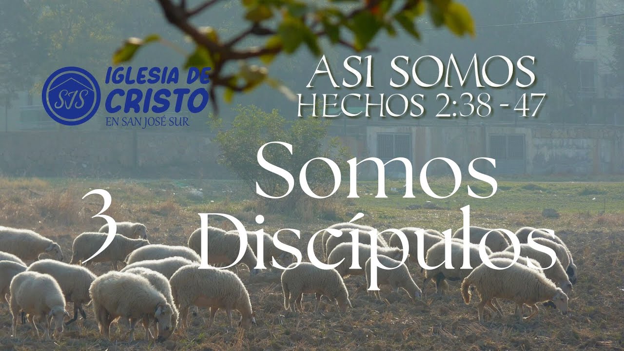 Somos Discípulos - Hechos 2:42